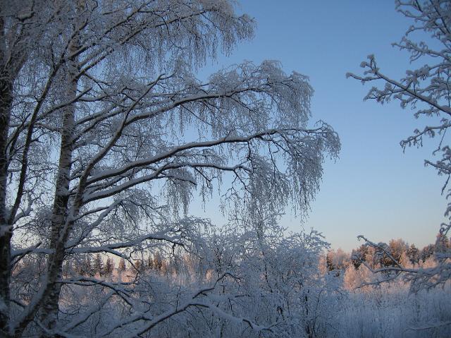 2010_talvikuvia 001.jpg